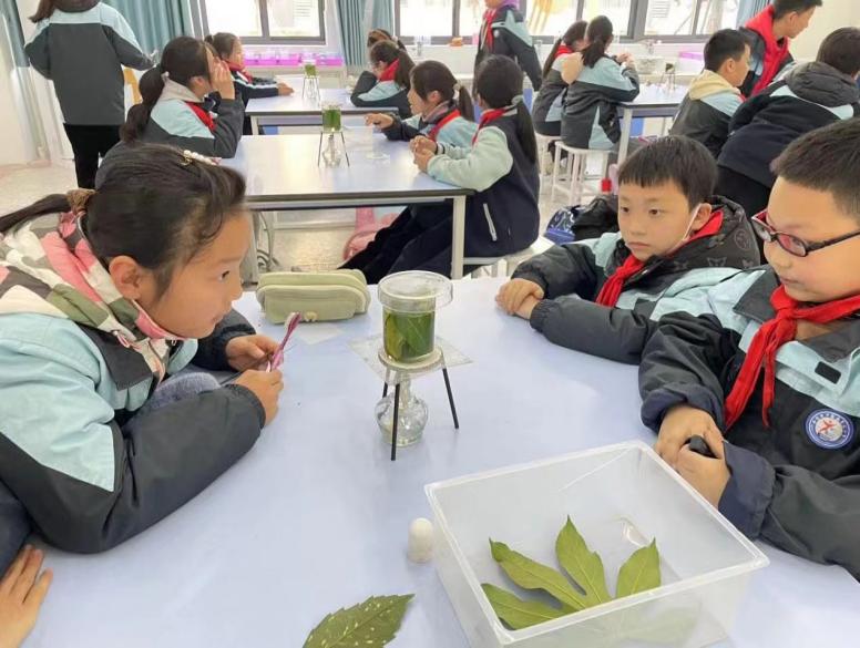 正学丁三_html_m3146a3a8.jpg