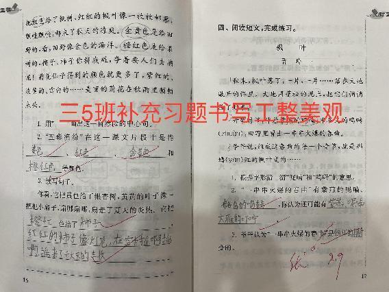 【正学丁三·教学】“以检查促规范，以规范促提升”——南京市丁家庄第三小学教学六认真之作业抽查侧记_html_1a1e7cdf.jpg