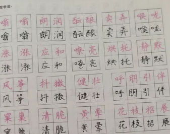 图片7.png