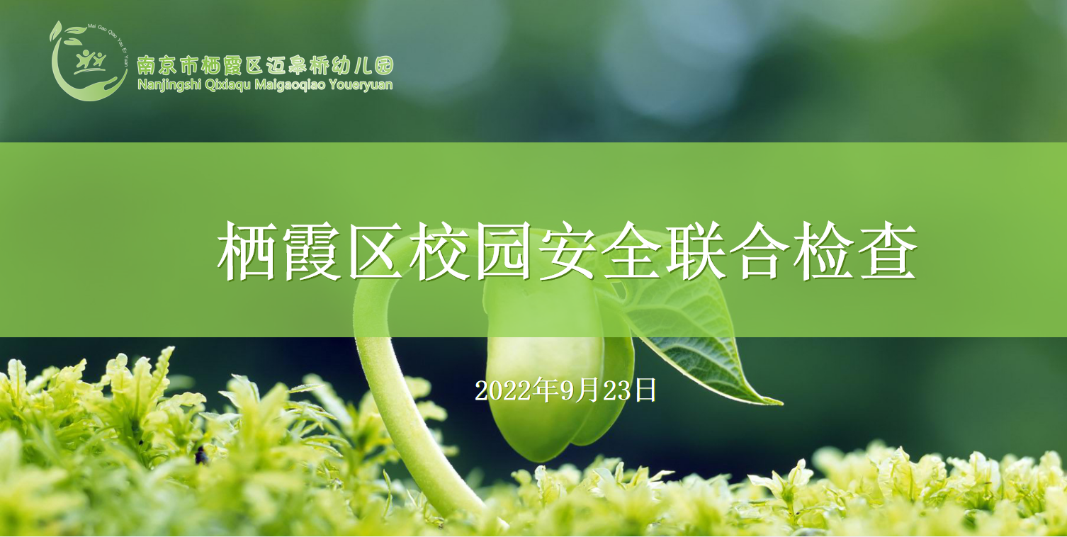 （生命迈幼.安全第一）迎联合检查 促安全防范 ——记迈幼一园迎栖霞区校园安全联合检查(1)_html_m35c7b200.png