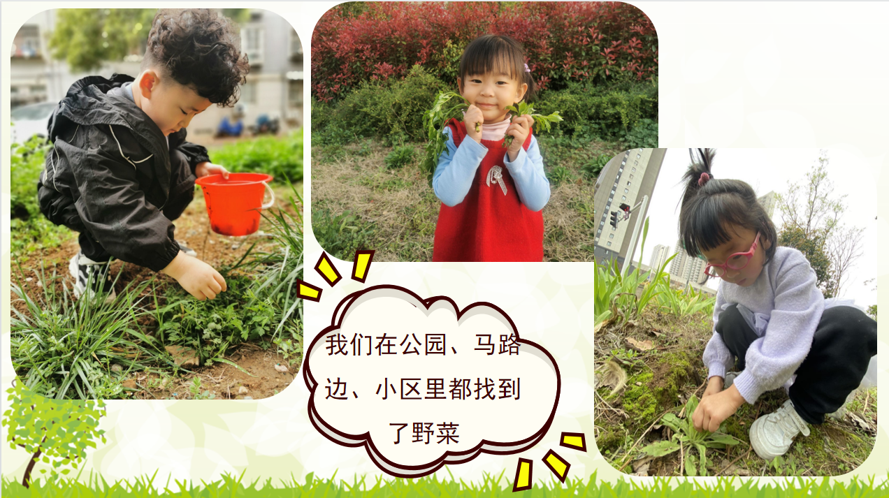 中审议_html_m2621c859.png