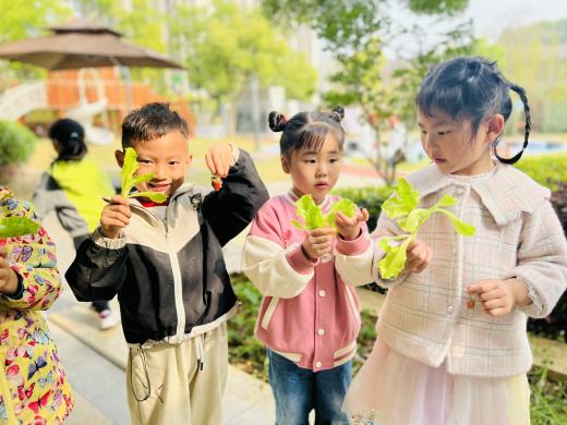 【生命迈幼·校园新闻】萌娃齐上阵，劳动不止步_html_m31e2a727.jpg