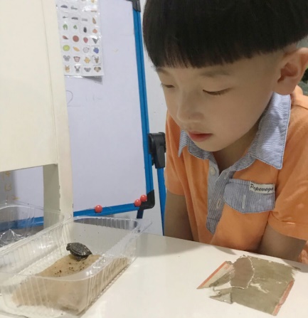 新闻稿111111111111_html_4153ce9e.jpg