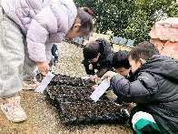 20240305中二班惊蛰节气活动_html_490c7ca2.jpg