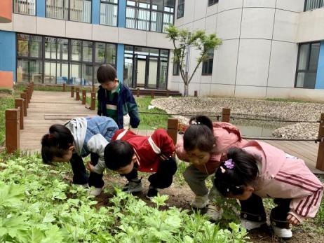 20240403【生活燕幼·园区动态】“浸润童心 情忆清明”——舌尖上的节气之清明_html_m505f98c3.jpg
