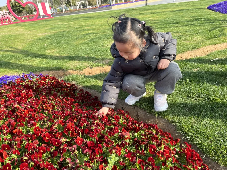 20240329 【生活燕幼&middot;园区动态】春天不是读书天——小桃子研学活动_html_779b8254.png