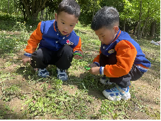 20240418【生活燕幼·园区动态】“春来日渐长，儿童寻春忙”——春游活动_html_5a257930.png