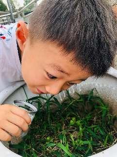 20230908 【生活燕幼•班级动态】  燕幼中心园：“白露秋分夜，一夜凉一夜”_html_78036d45.jpg