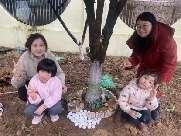 20250312植树节活动_html_m226dac56.jpg