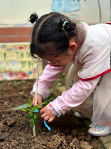 20240419【生活燕幼·园区动态】下庙分园：“知谷雨，润童心”——谷雨节气活动_html_45b7c708.jpg