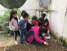 祥和园大班年级组清明项目活动新闻稿_html_319b5804.png