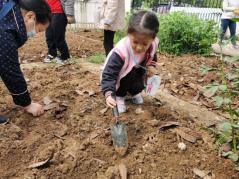 20210531祥和园种植团新闻_html_8c65e3e.jpg