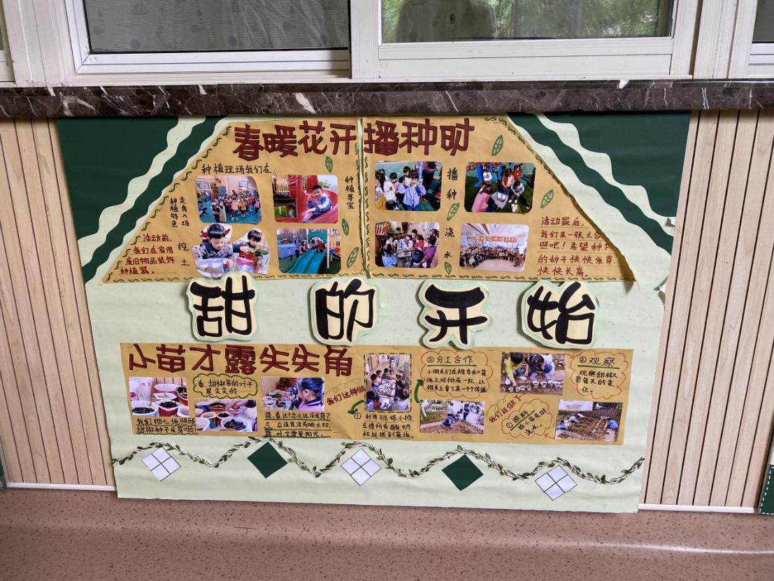教研组动态_html_m232e42ea.jpg