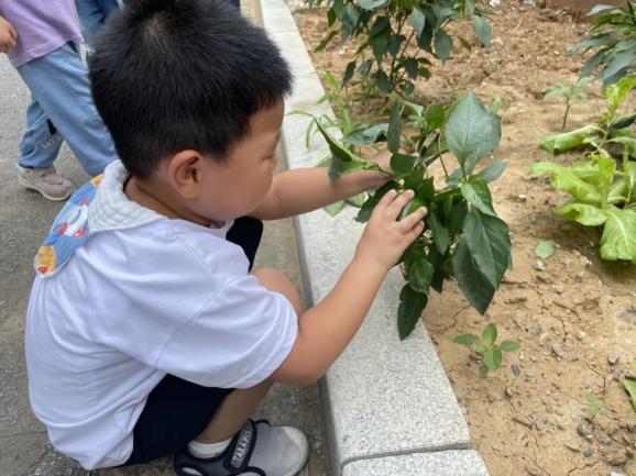 20230911【园区动态】燕鸣苑分园：“传承行知思想，践行生活教育”——园所介绍_html_m1d8ed79b.jpg