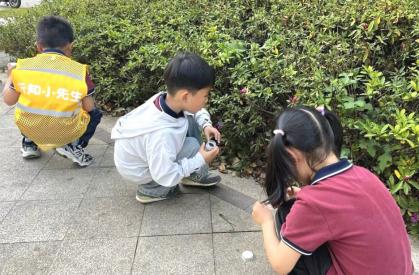 【生活燕幼·园区动态】下庙分园：“春日寻芳，趣探自然”——春日研学活动_html_m78897c9e.jpg