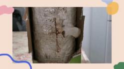 20201224祥和园区种植团_html_m1777bee4.jpg