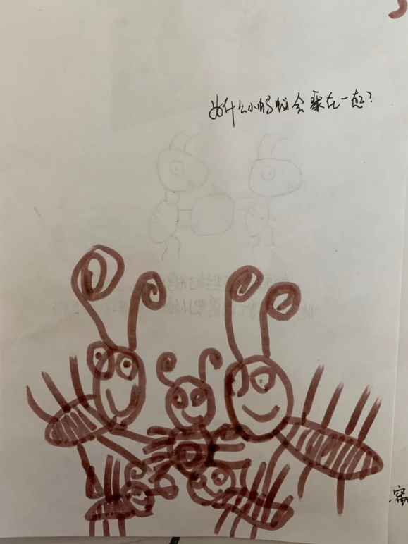 20210113【班级动态】大一班项目课程分享——蚂蚁探秘之旅_html_m1f4f82bd.png