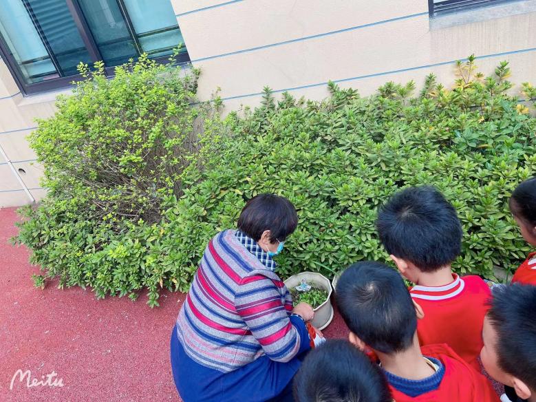 20211126  新城小班种植团活动(2)(1)_html_m55ad59aa.jpg