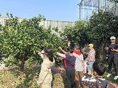 20231015燕子矶幼儿园亲子劳动实践营活动_html_3127c207.jpg