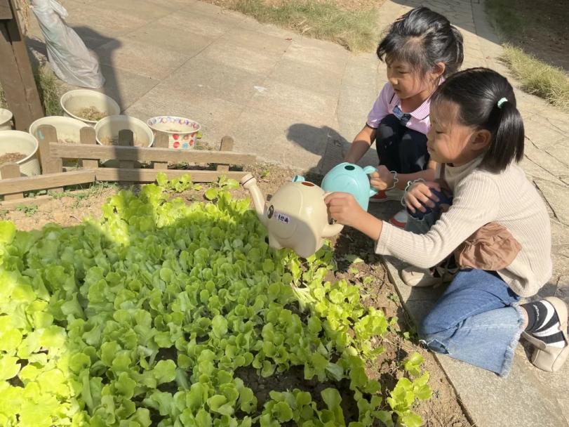 【生活燕幼·园区动态】下庙分园：“时逢霜降至，童趣满深秋”——霜降节气活动_html_6537a361.jpg