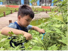 20240607【生活燕幼·园区动态】“五月初五 端午安康”——燕幼燕鸣苑分园端午节活动_html_m419ad7ad.png