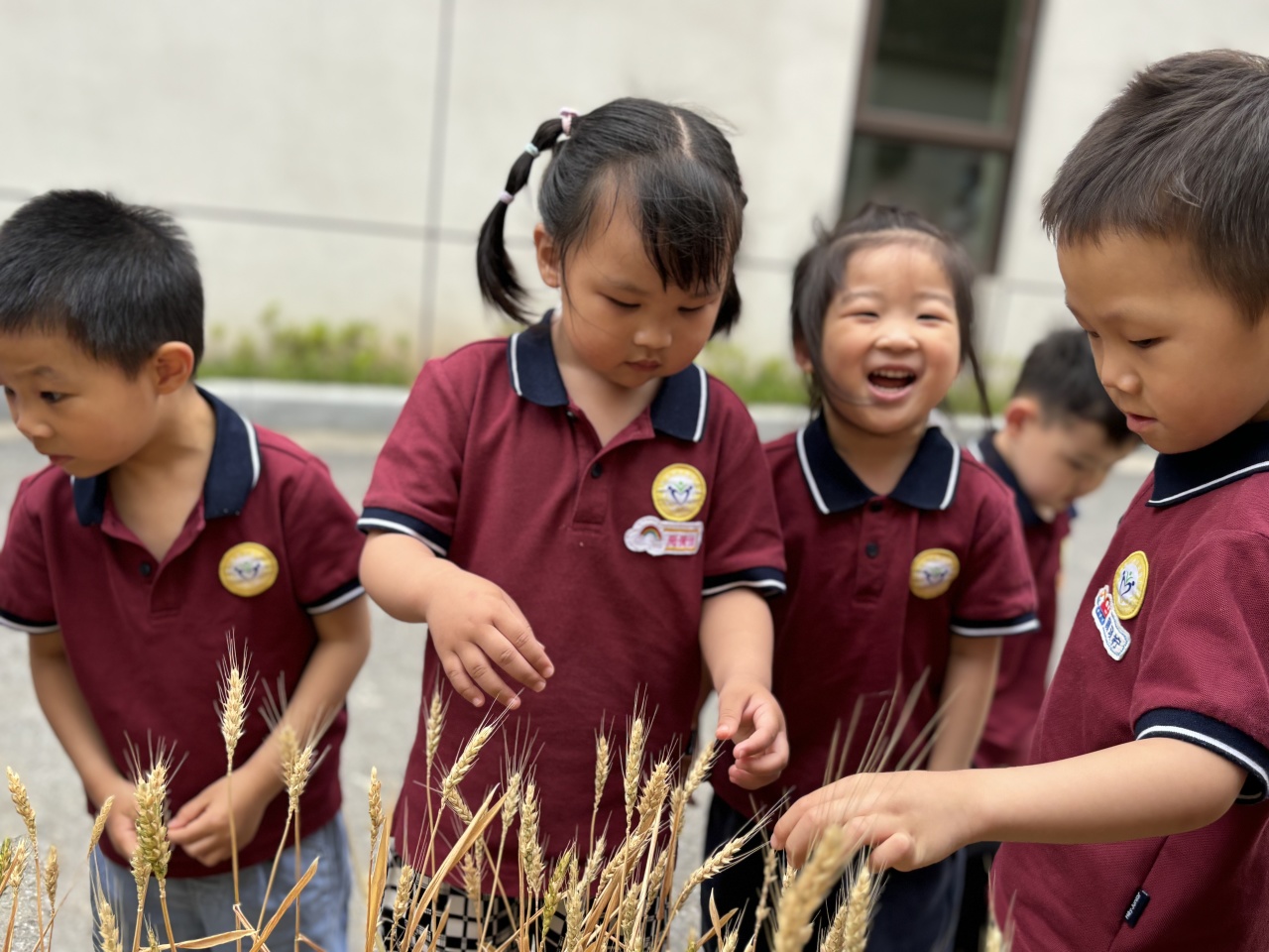 20240520 【生活燕幼·园区动态】“夏意芬芳，幸福满满”——舌尖上的节气之小满_html_31284363.jpg
