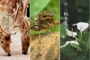 20240621中二班夏至节气活动新闻稿_html_m53e329ed.jpg