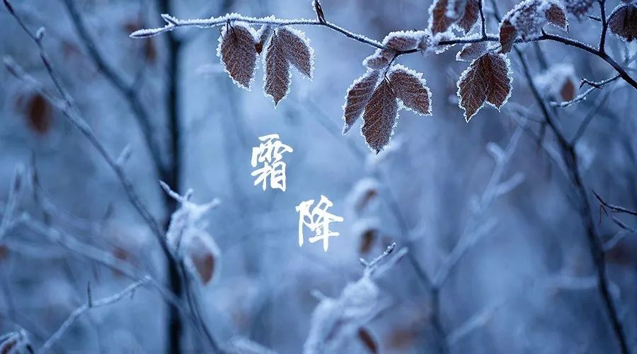 下庙园区_html_1df8d0cc.jpg