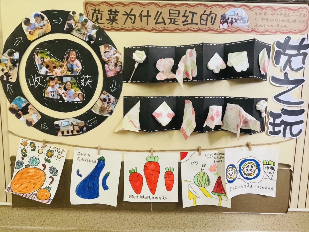 20220614【园区动态】下庙园区：“播种希望 收获成长”——班级种植墙评比活动新闻稿_html_4a8fc566.jpg