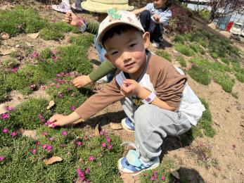 20250408 【生活燕幼·园区动态】燕鸣苑分园：“不负春光，趣享成长”——春游活动_html_m1e3a7bf5.jpg