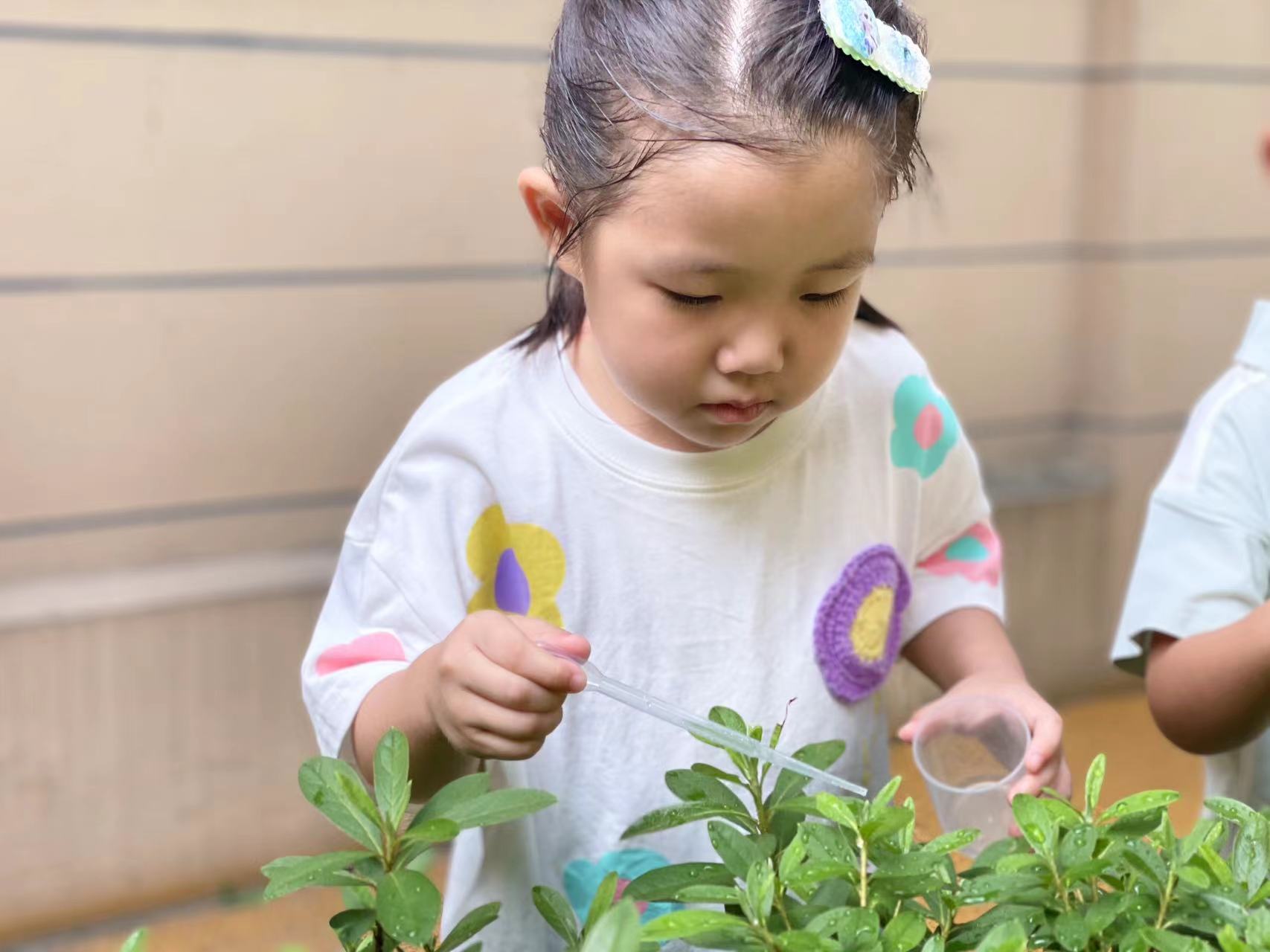 20240905【生活燕幼·园区动态】新城分园：“秋高气爽，白露生凉”——二十四节气活动活动_html_m5c057c73.jpg