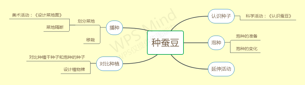 祥和园大班项目课程种植蚕豆新闻稿(1)_html_m4dafdd3a.png