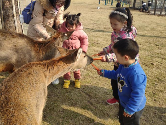 20201130园区动态新城秋游_html_20ed93ae.jpg