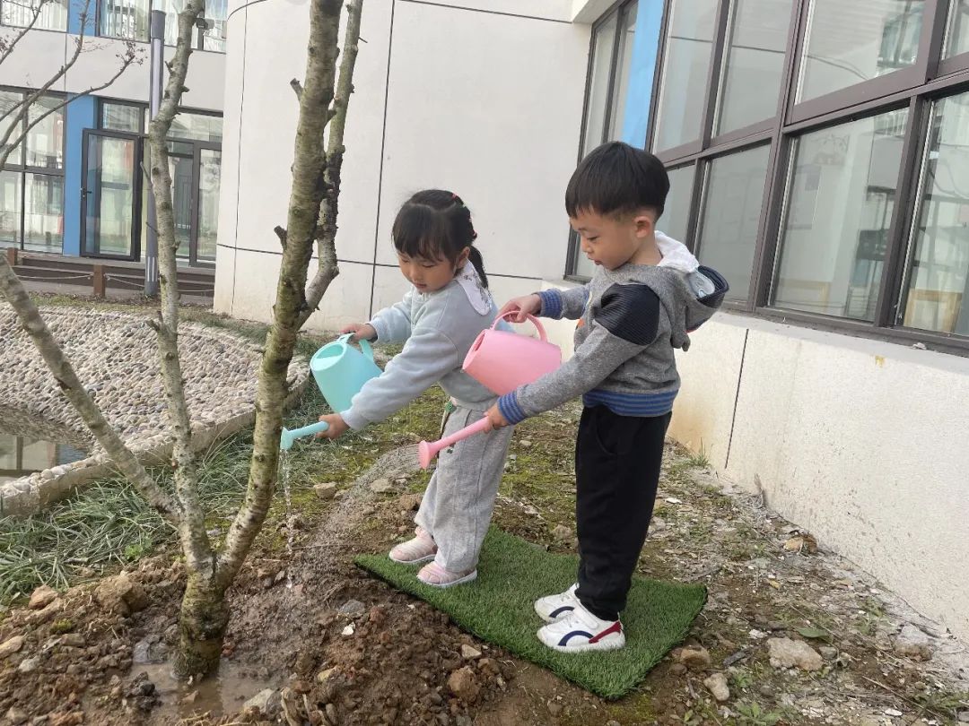 20230328【生活燕幼·园区动态】燕鸣苑分园：趣探惊蛰 万物新生——记小二班惊蛰节气活动_html_mf44ffe7.jpg