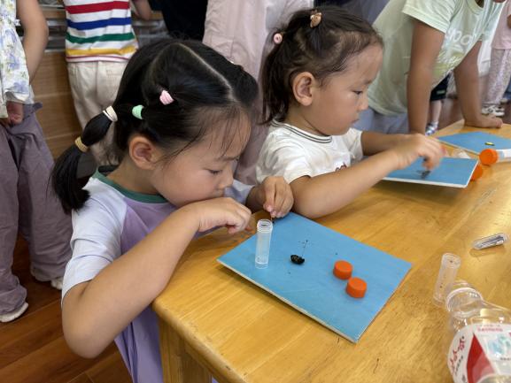 2025.9.17【生活燕幼&middot;园区动态】“昆虫密语”开讲！科学副园长带萌娃探秘微观大世界_html_5cf1106.jpg