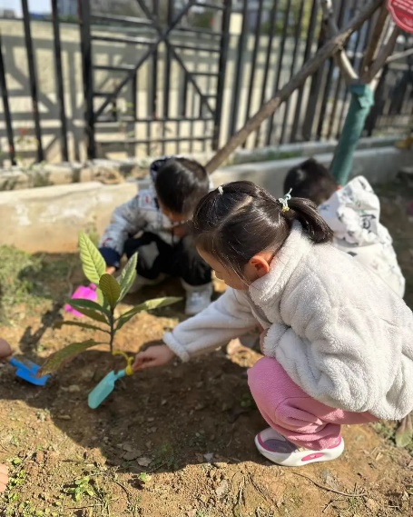 20230312新城园种植月破土日活动_html_m15d58e7d.jpg