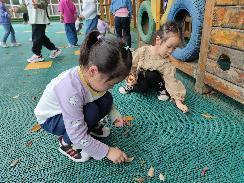 20230508燕幼中心园劳动教育周系列活动_html_m3bbd427b.jpg