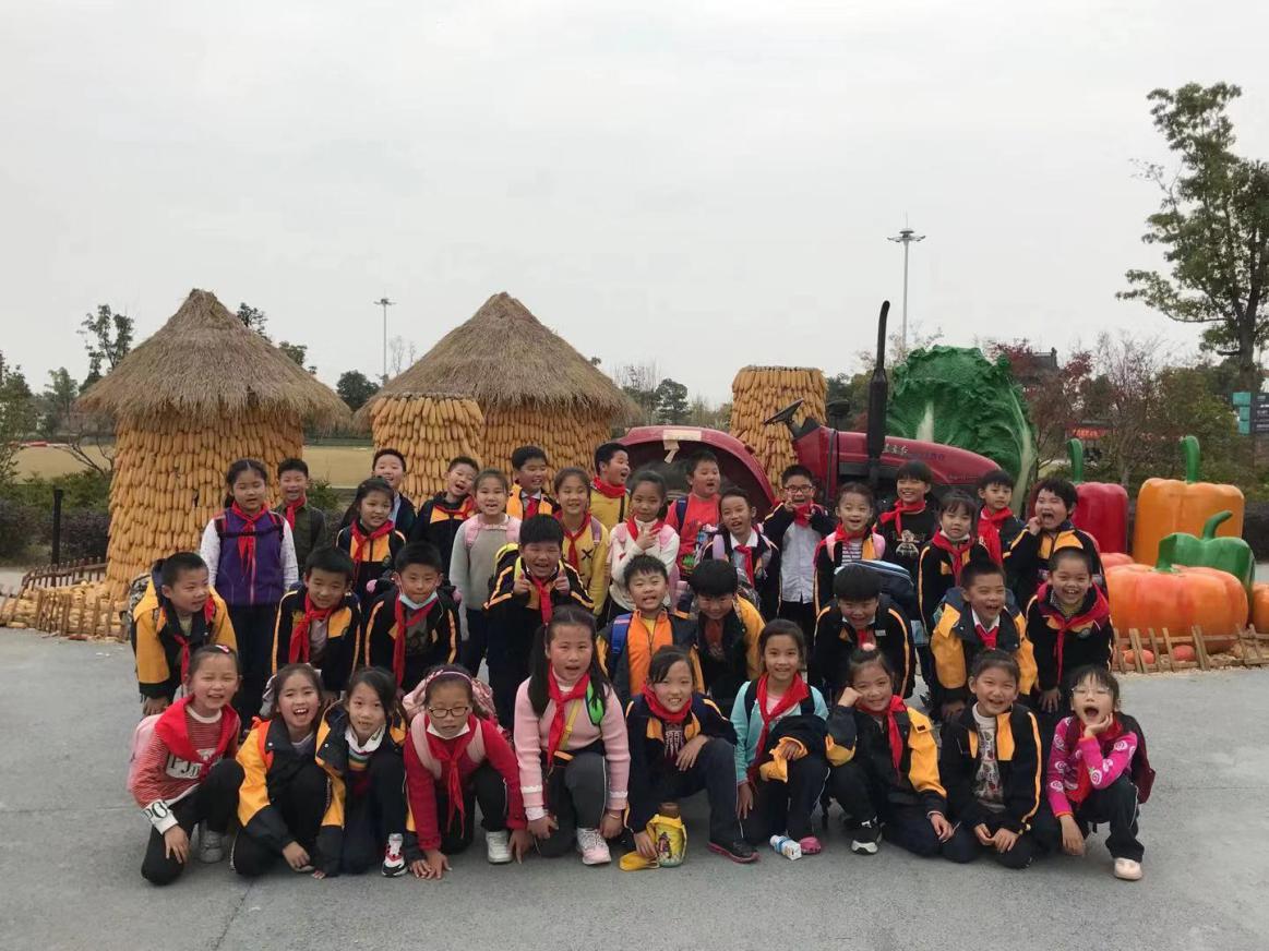 【养正颐小】弘扬劳动精神，做幸福追梦人  ——中电颐和家园小学“争做新时代好队员”主题活动