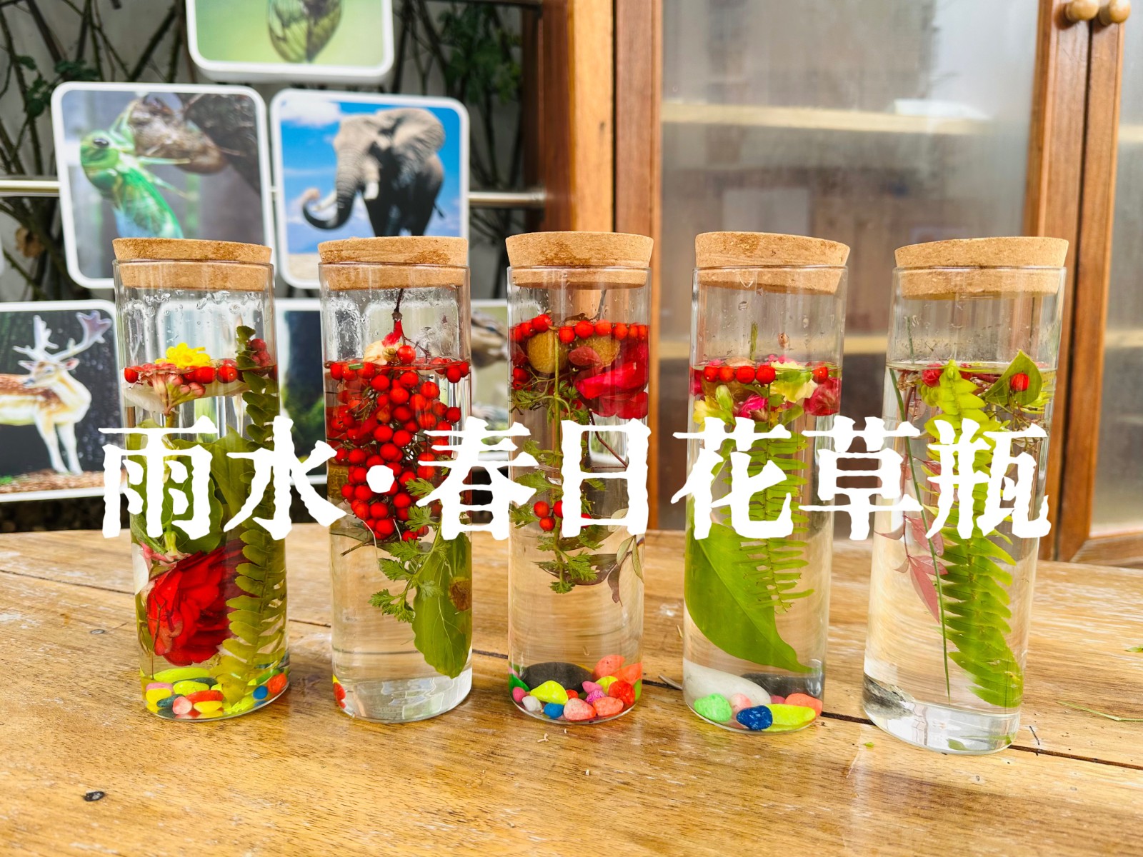 ab3b8867f3f45d28d31659f6fb271f1.jpg