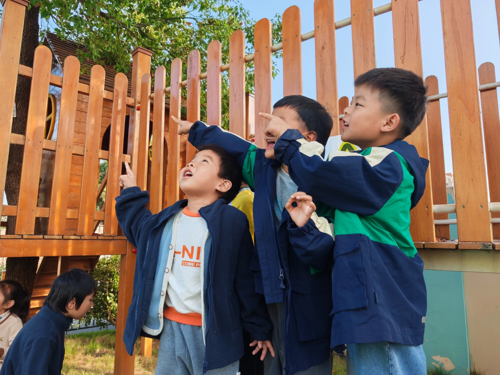 IMG_20251110_151807.jpg IMG_20251110_151807.jpg