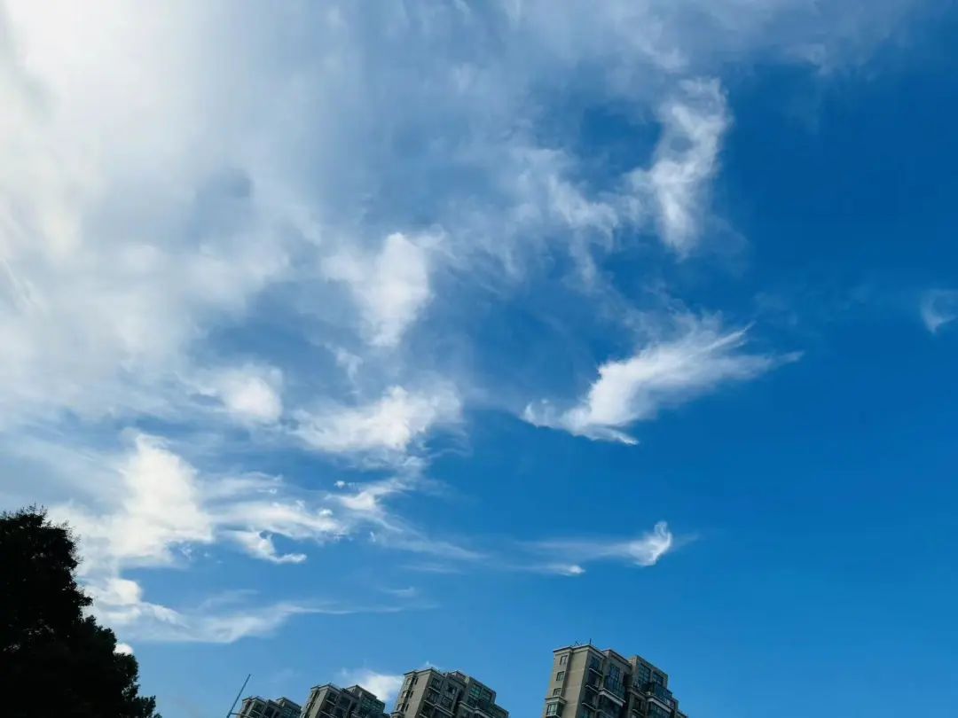 640.jpg