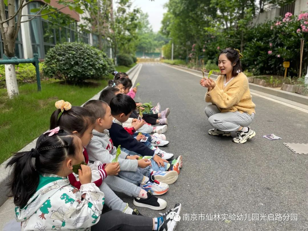 光启_html_m4bcd35cf.jpg