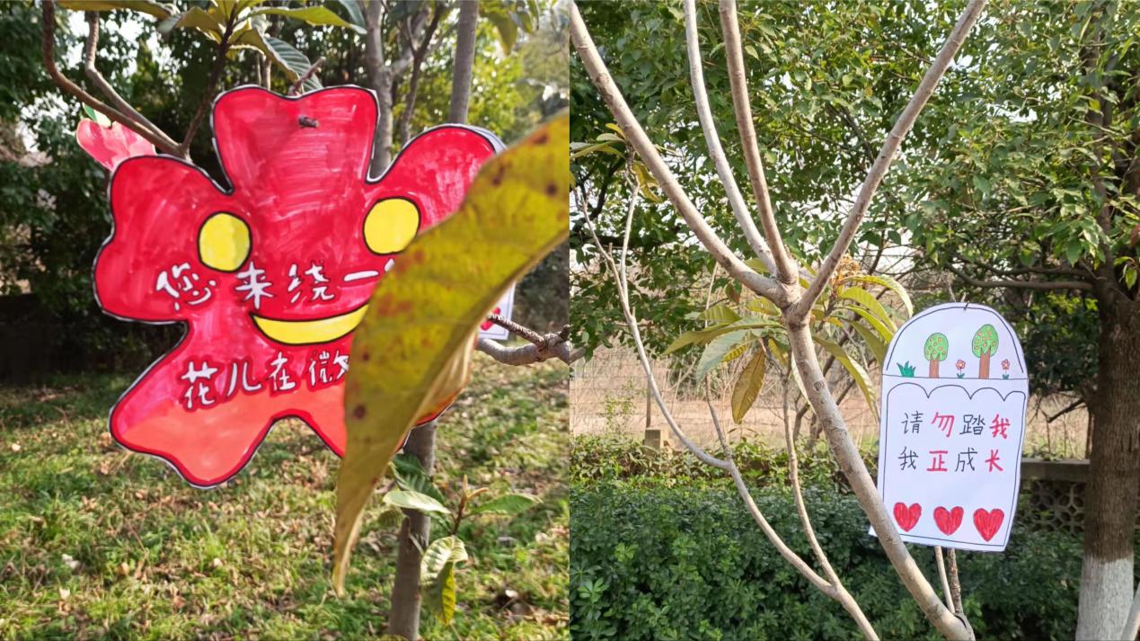 【大爱青秀】植树节新闻稿(2)_html_2e3740d8.jpg