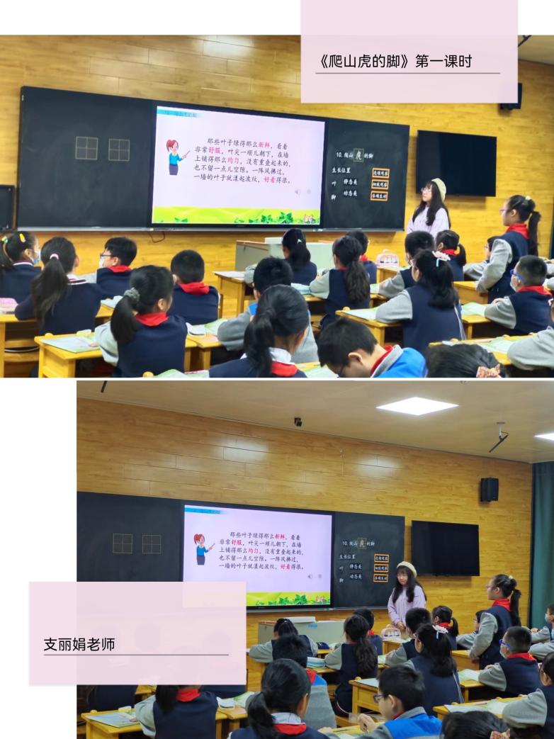 【大爱青秀】聚焦细致观察，感受创意表达——青秀城小学语文校本研修活动（二）