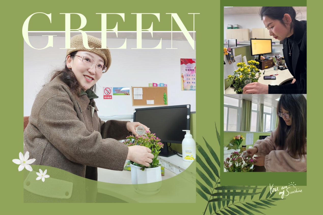 2025.3.25沈月芸【大爱青秀·心育】赠一抹绿意   许满心欢喜----青秀城小学绿植疗愈活动小记_html_m5b7219d5.jpg