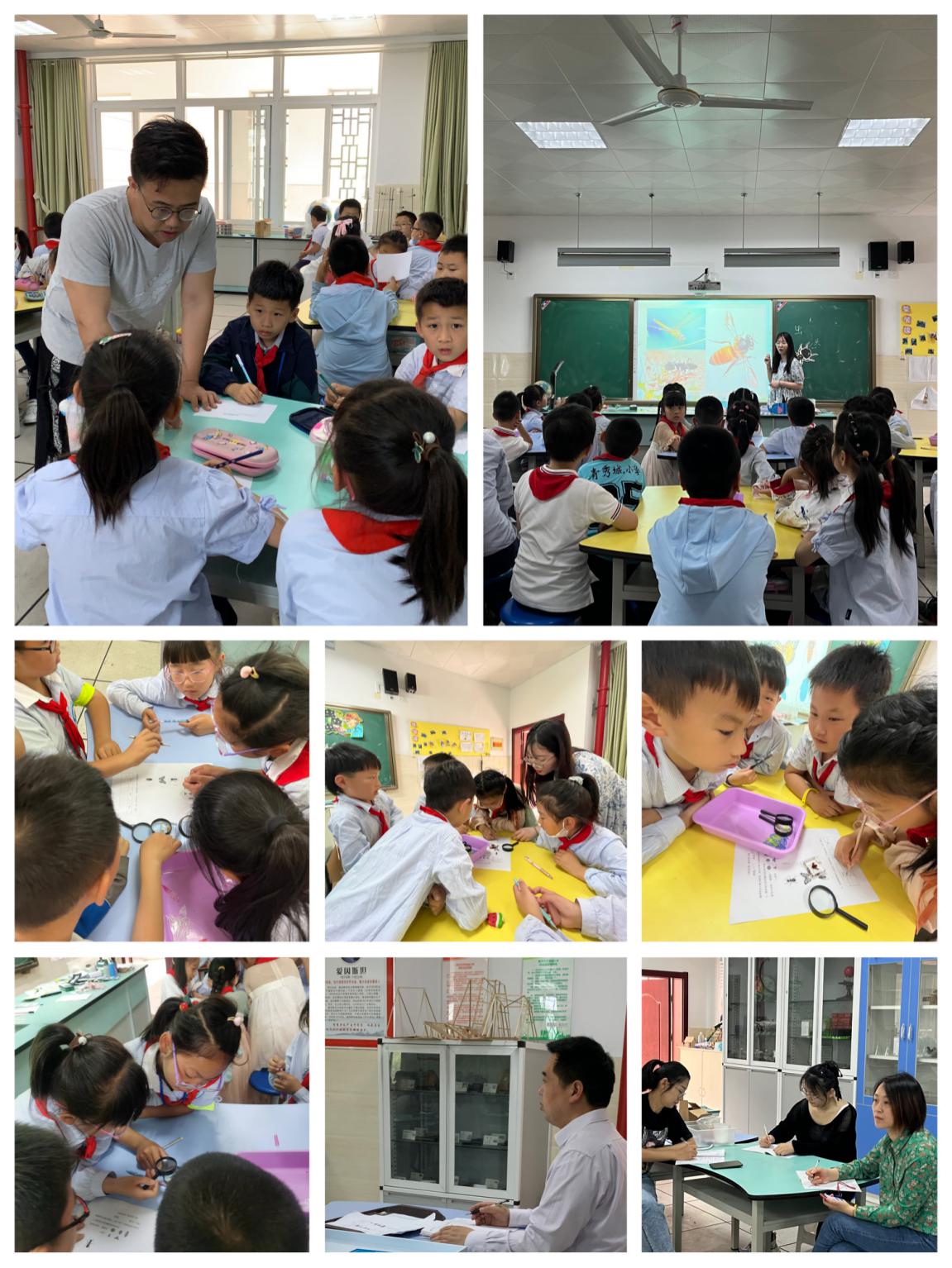 【大爱青秀】科学融合 与美同行_html_m247a3c59.jpg