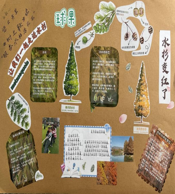 我为班级选班植语文实践活动报道_html_m3975d4dc.jpg