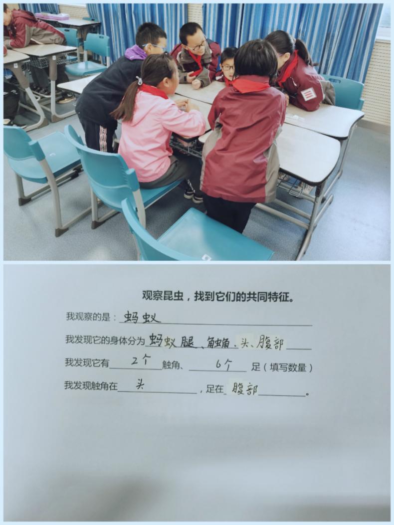 20210409王静童学课堂（王凡写）_html_364e4a8b.jpg