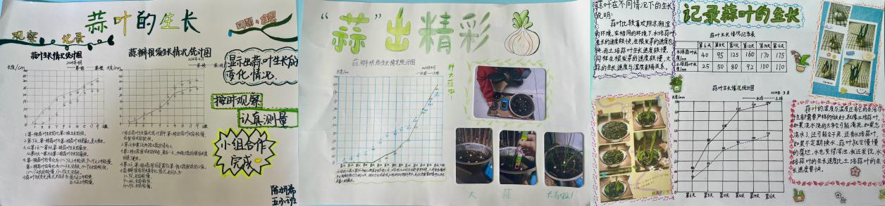 20240412五年级数学实践活动报道_html_6bff4981.jpg