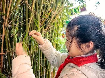 20250312植树节活动_html_m718fcdad.jpg